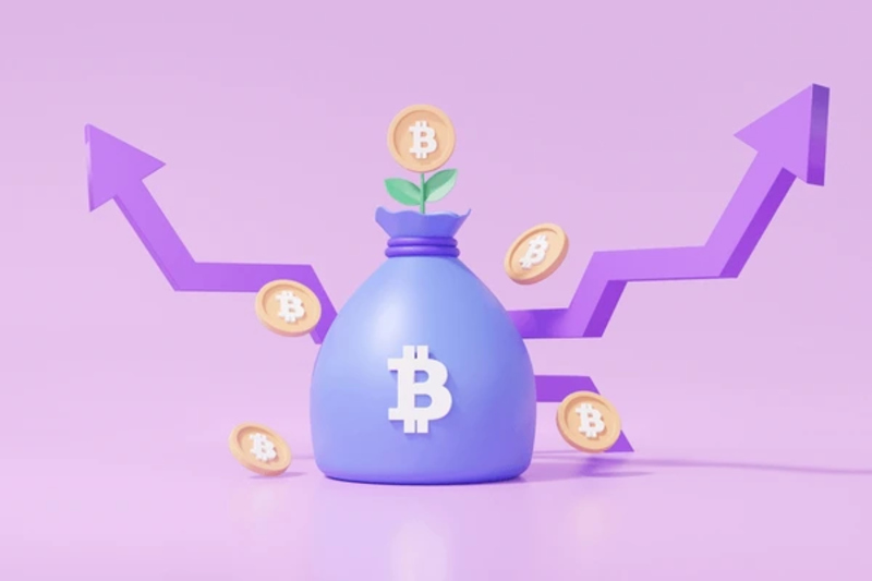 Tương lai và triển vọng của Purple Bitcoin